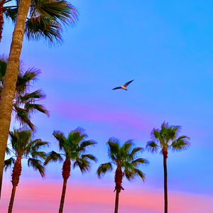 丰满少妇人妻无码专区
