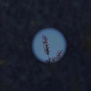 丰满少妇人妻无码专区
