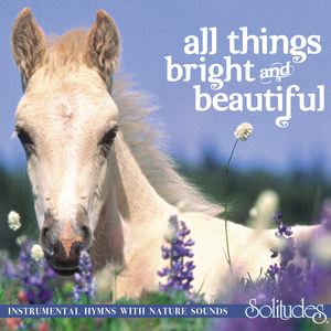 丰满少妇人妻无码专区
